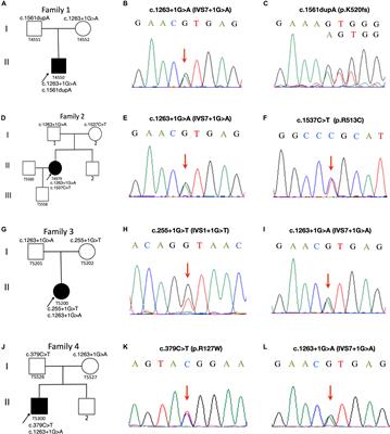 c.1263+1G>A Is a Latent Hotspot for CYP27A1 Mutations in Chinese Patients With Cerebrotendinous Xanthomatosis